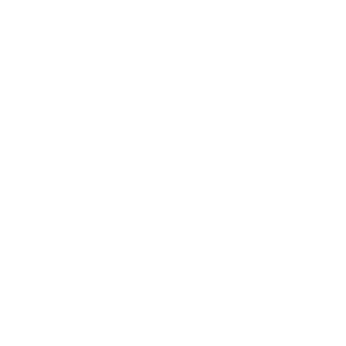 Indecent Racing